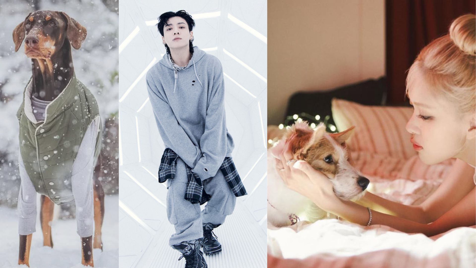 Fans call out Vogue for mislabeling BLACKPINK Ros&eacute;&rsquo;s pet as Instagram&rsquo;s most followed instead of BTS&rsquo; Jungkook&rsquo;s Bam