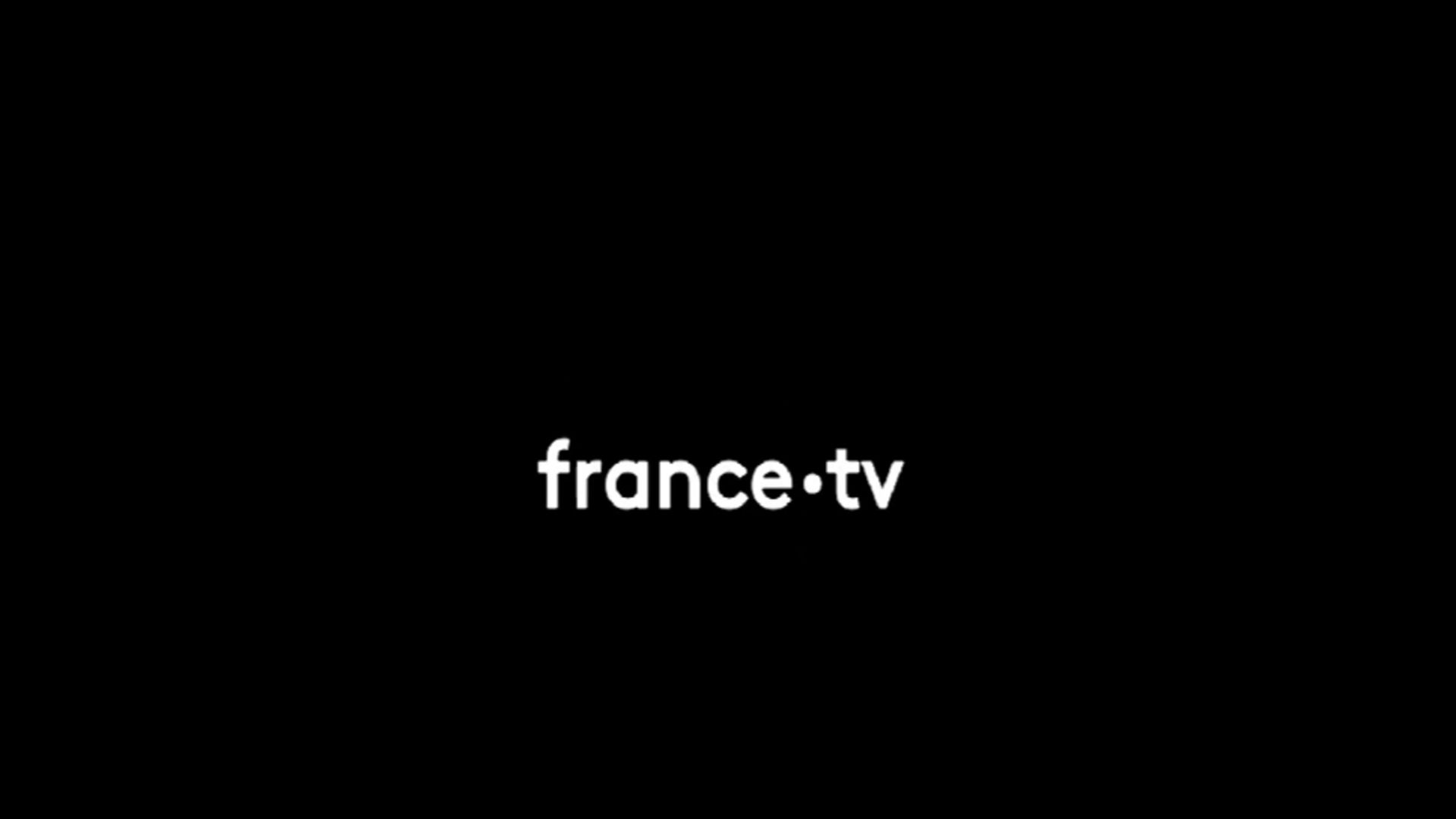 France T&eacute;l&eacute;visions stylised logo | Image Via: France TV