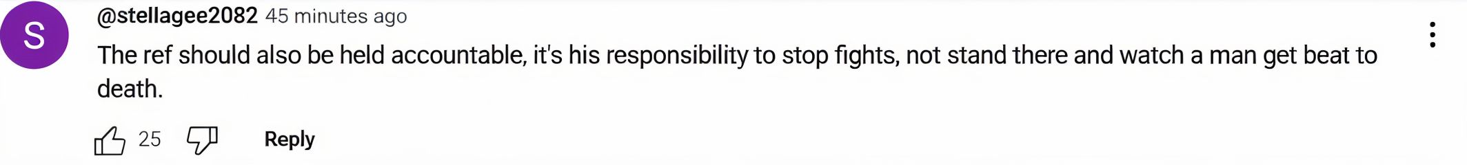 A user asks the referee to be held accountable (image via YouTube)