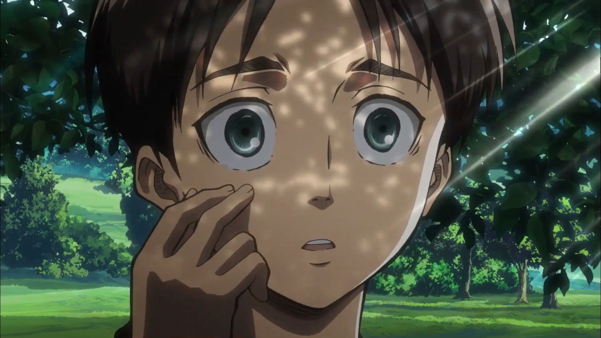 Eren as a kid as seen in anime