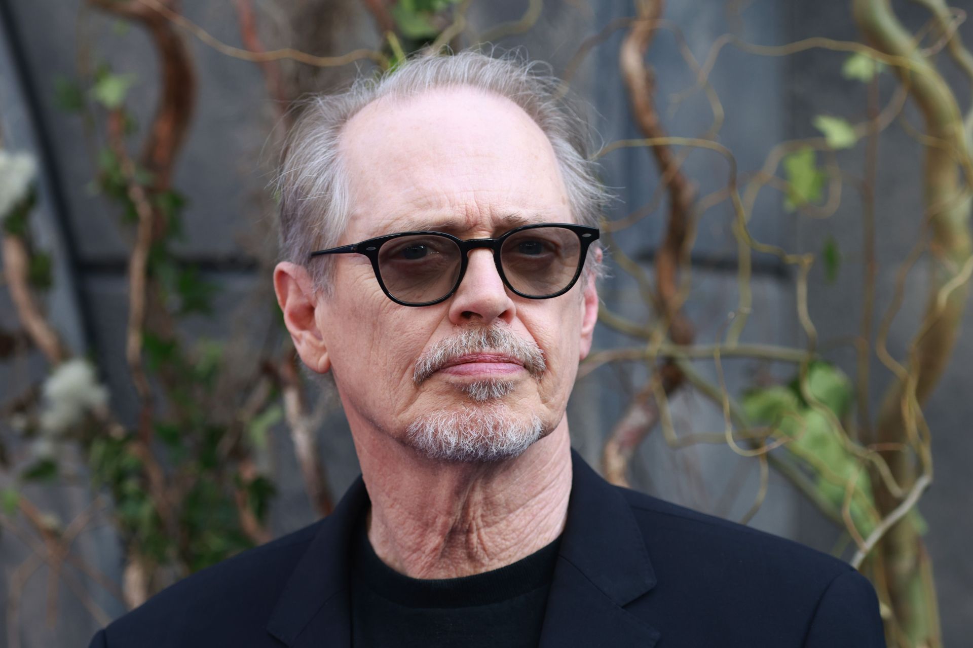 Steve Buscemi - Source: Getty