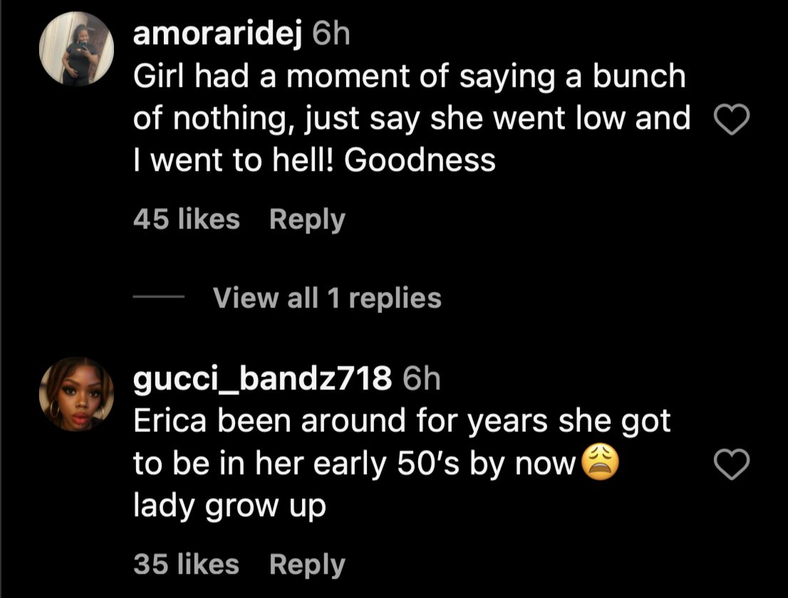 Netizens react to Erica Mena&#039;s comments (Image via Instagram/@hollywoodunlocked)
