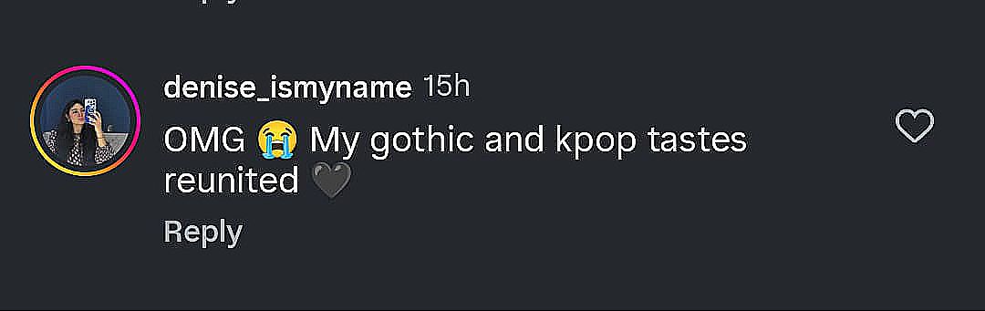 Fan comment on Instagram post