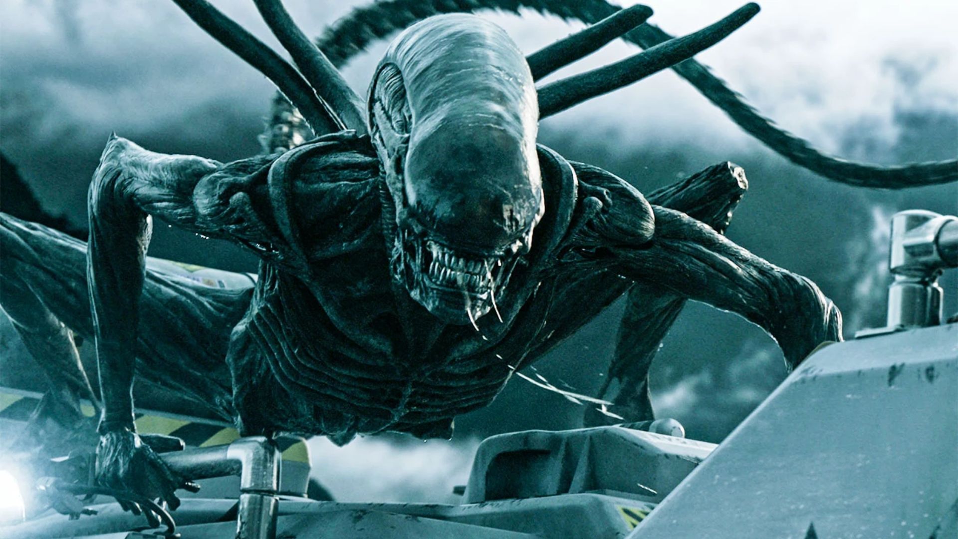 Xenomorph