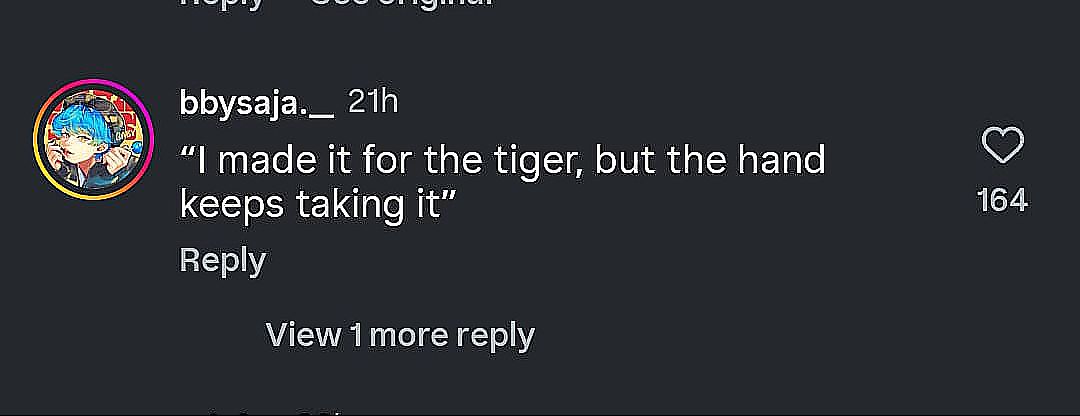 A fan comment on Instagram post