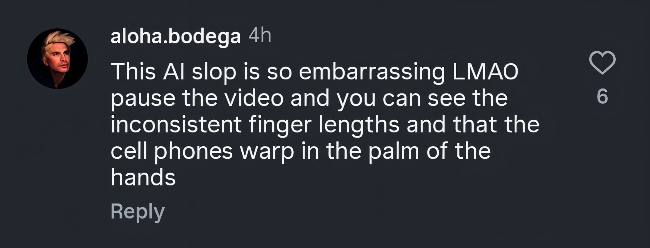 A user calls the use of AI &quot;embarrassing&quot; (image via @aloha.bodega on Instagram)