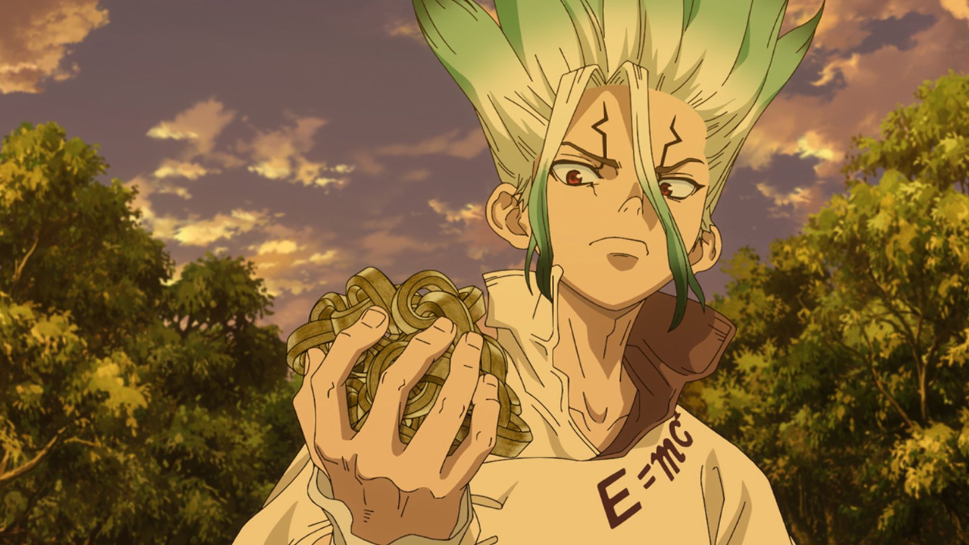 Senku as seen in anime