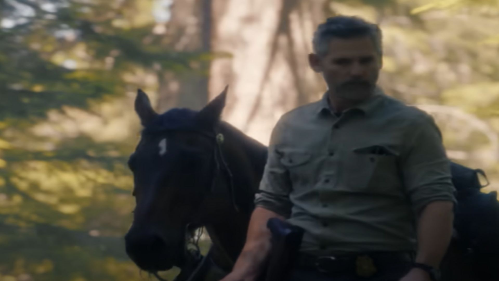 Untamed Season 2 ( Image via YouTube / Netflix )