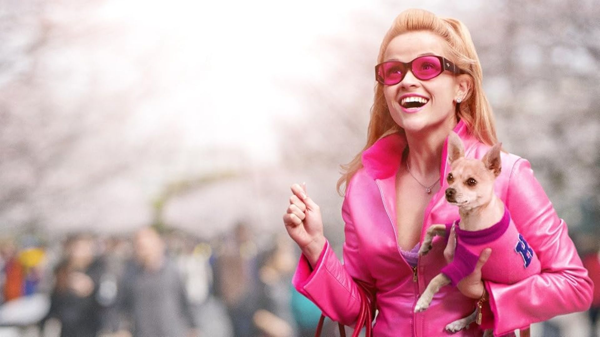 Legally Blonde (Image via Prime Video)