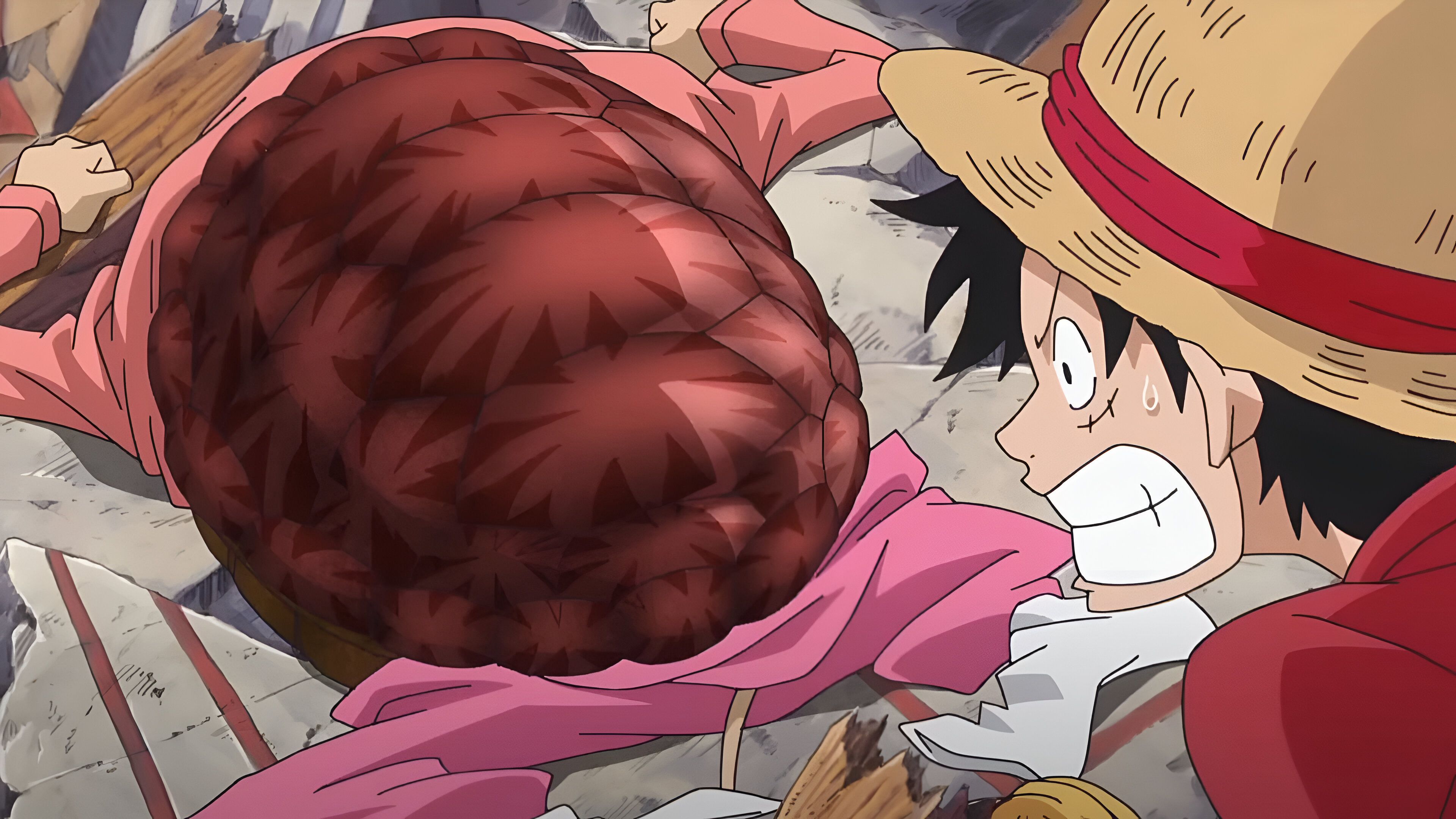 Luffy finds turtle shell while looking for Pekom 