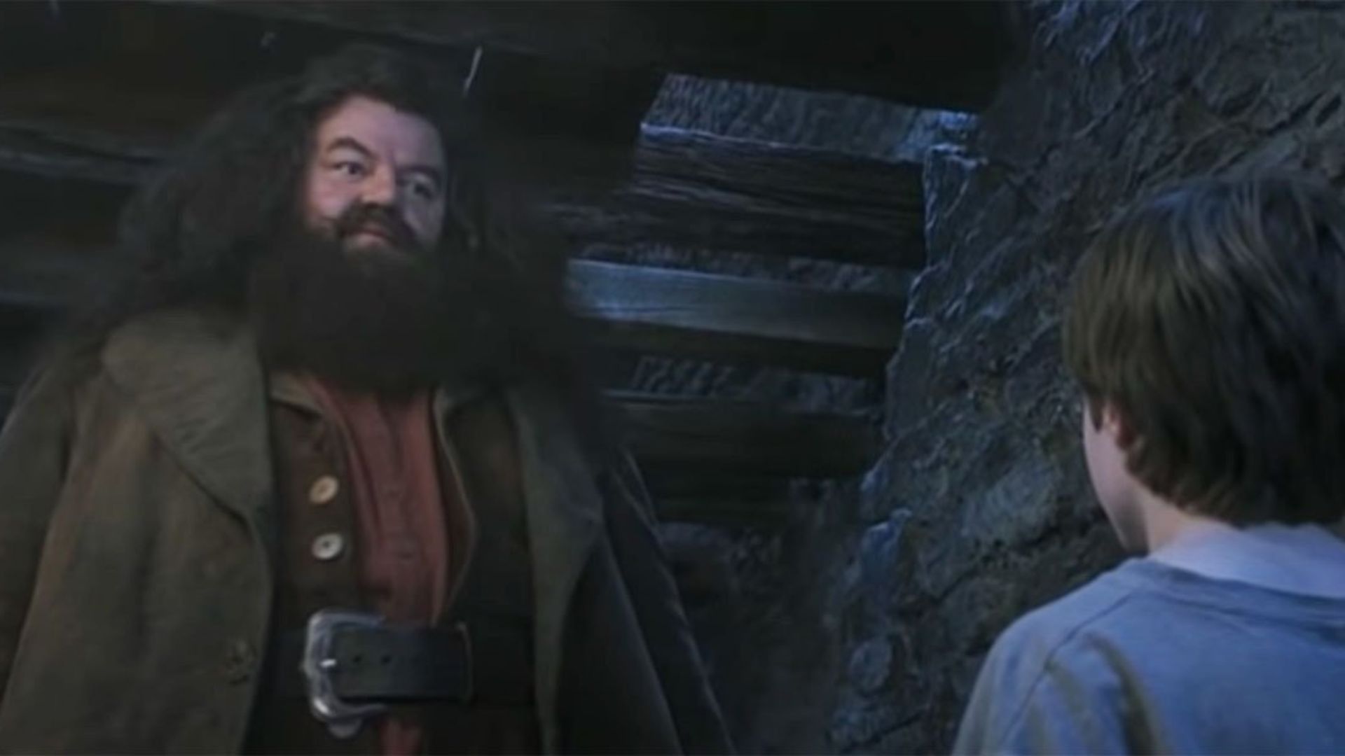Harry and Hagrid in Harry Potter and the Philospher