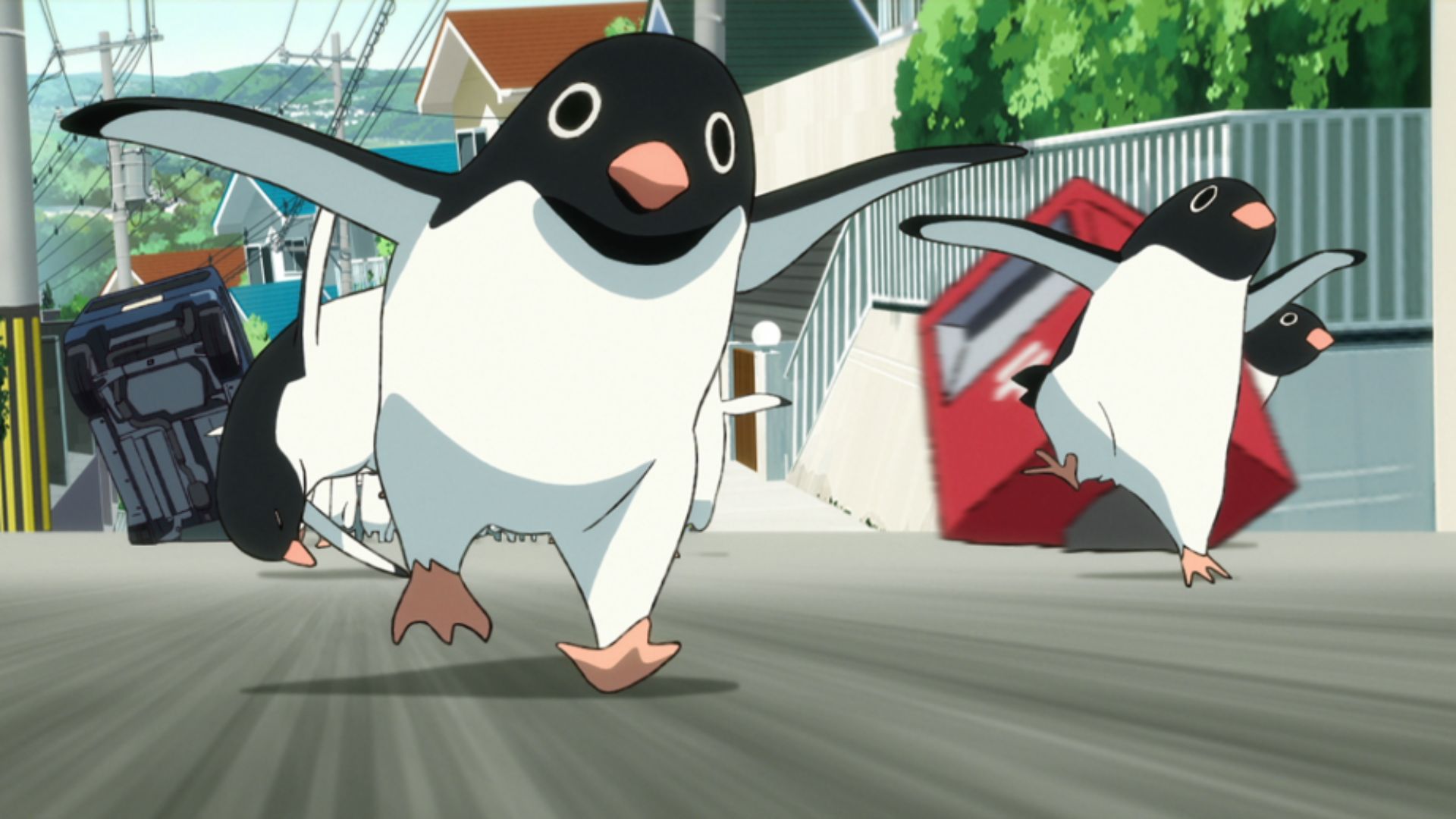 Penguin Highway (Image Credits: Studio Colorido)