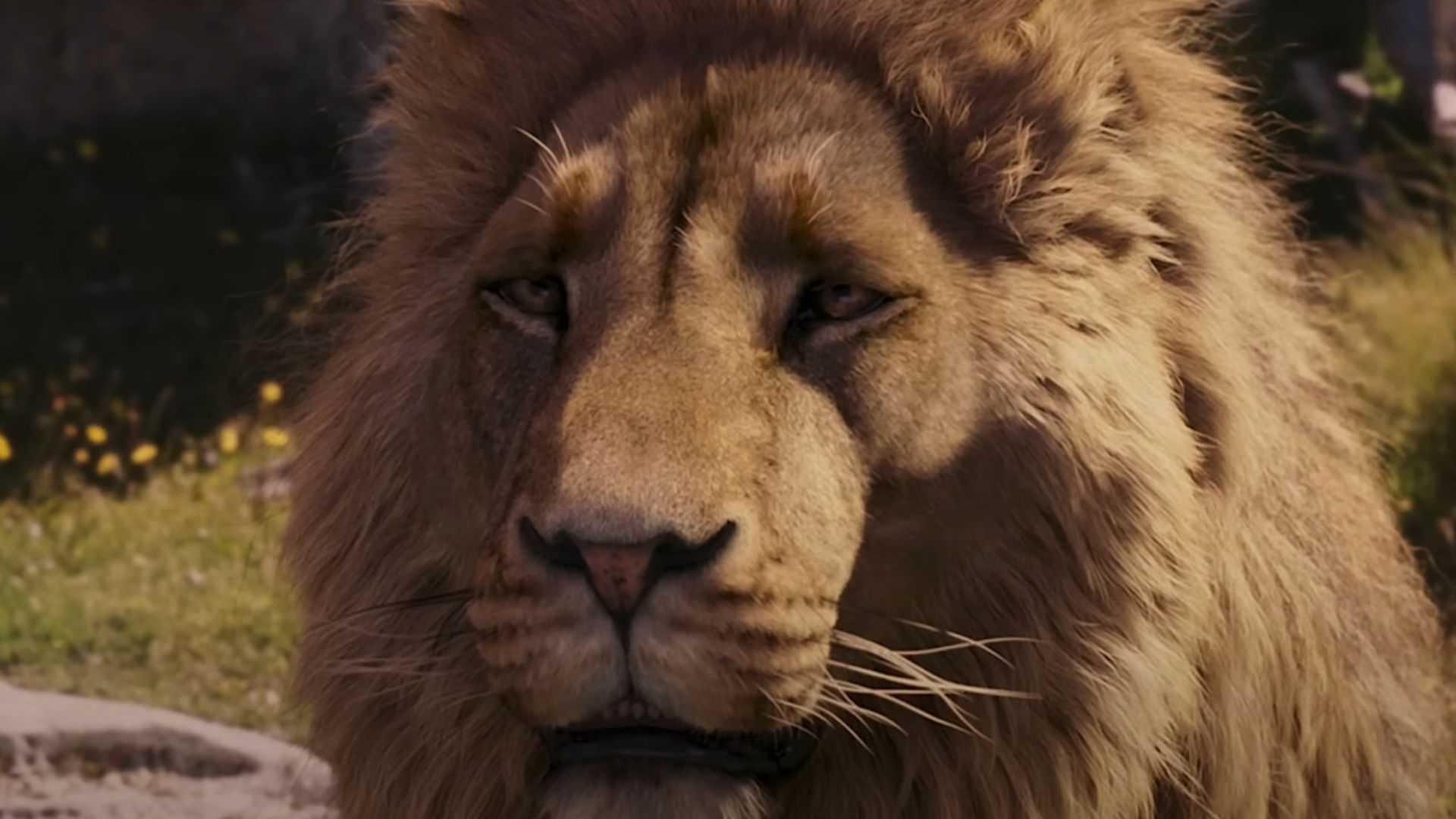 Meryl Streep is likely to be the voice of Aslan in Narnia: The Magician&#039;s Nephew. (Image via Walden Media)