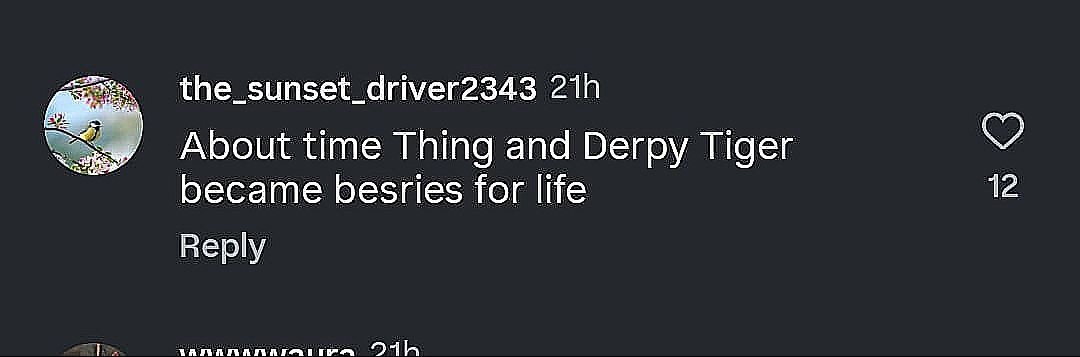 A fan comment on the post