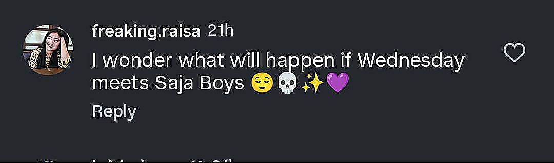 Fan comment on Instagram post