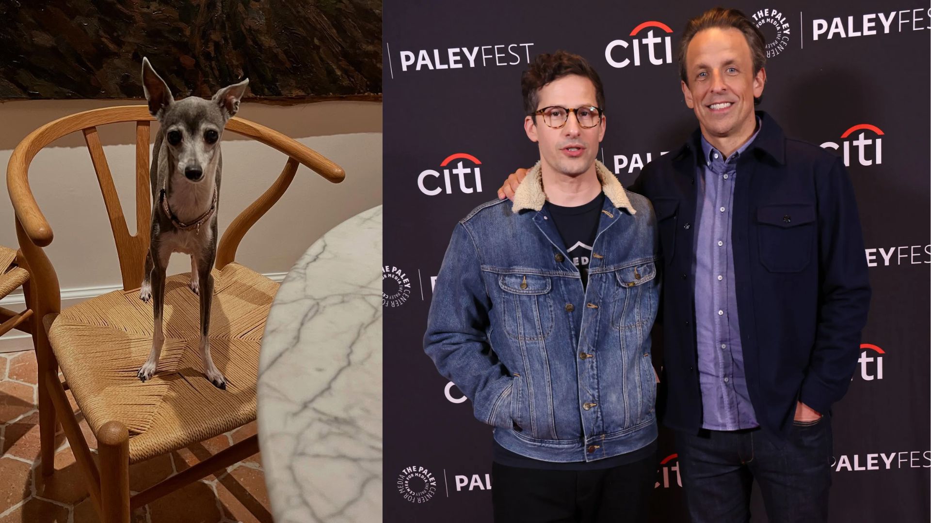 Andy Samber, Seth Meyers, and Frisbee (Getty via Soap Central CMS - Resized on Canva / Image via Instagram)