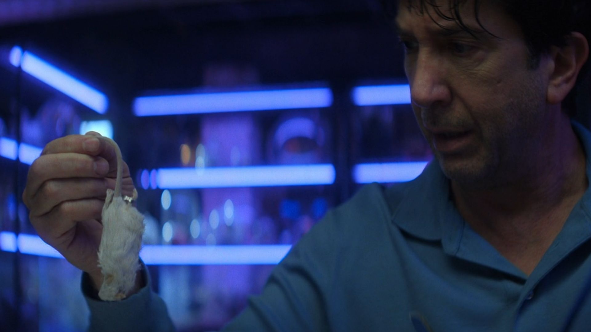 David Schwimmer as Anthony in &quot;Goosebumps: The Vanishing&quot; (Image Via: Disney+)