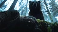 Baba Voss is attacked by a huge bear | Image via Apple TV+