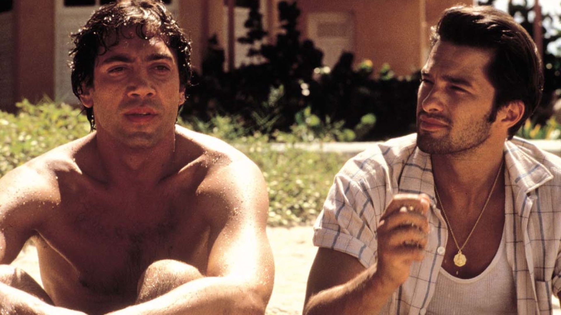 Before Night Falls | Image via MUBI