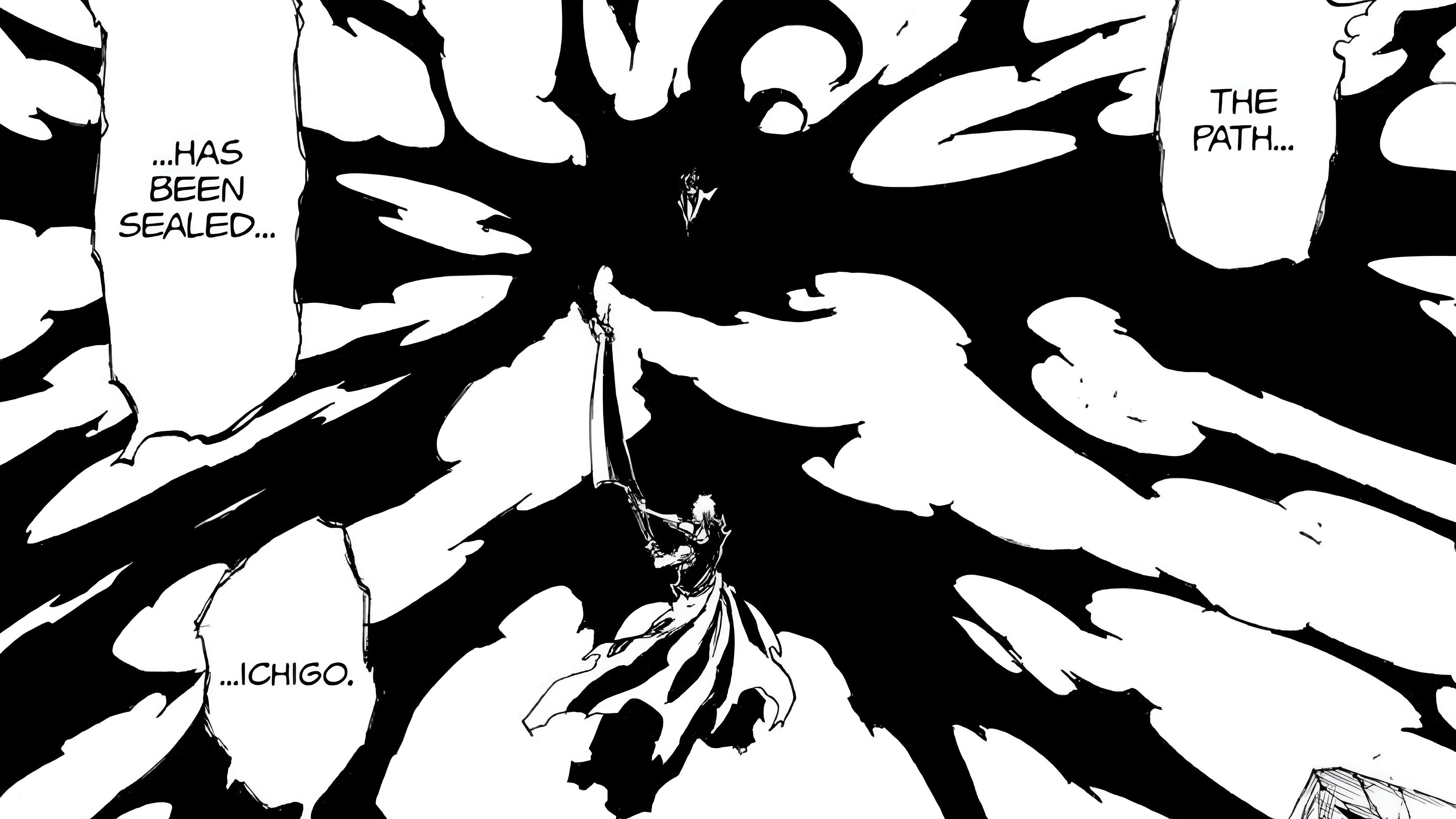 Ichigo after defeating Yhwach 