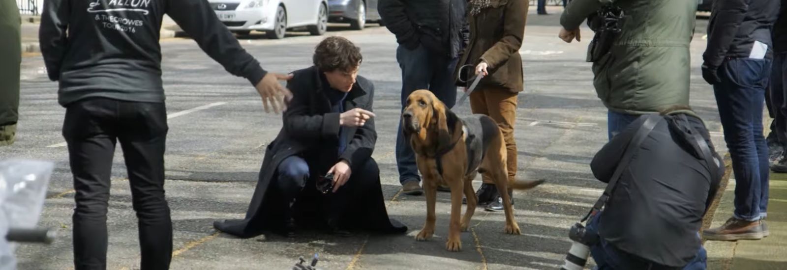 Toby the dog [Image via YouTube/@Sherlock]