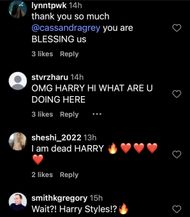Netizens react to Harry Styles and Carole Radziwill's photos (Image via Instagram/@cassandragrey)