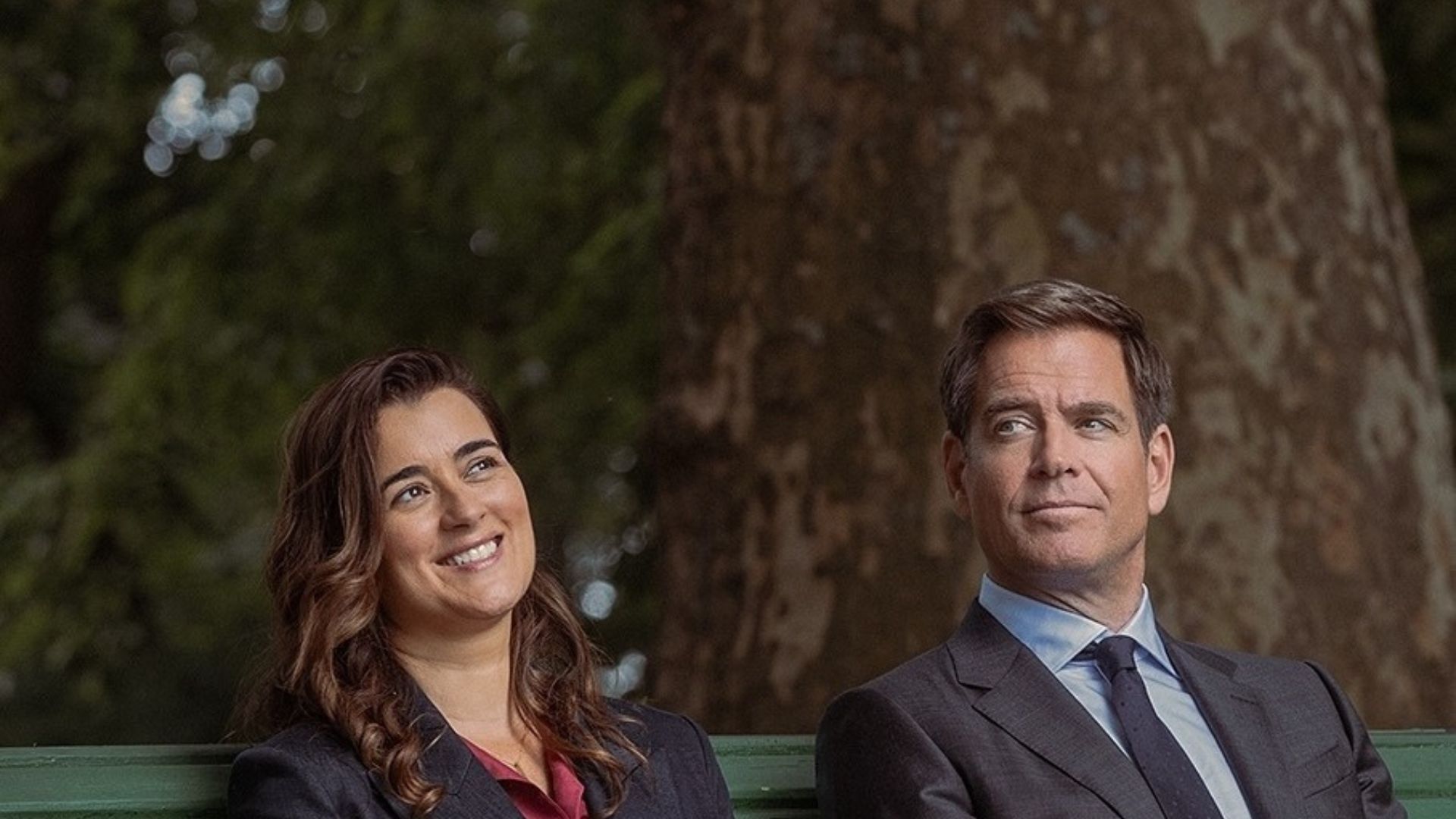 Cast and character guide for NCIS: Tony &amp; Ziva (Image Via Instagram/@ncisverse)