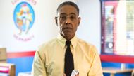 Gus Fring - A shocking TV show death | Image via Netflix
