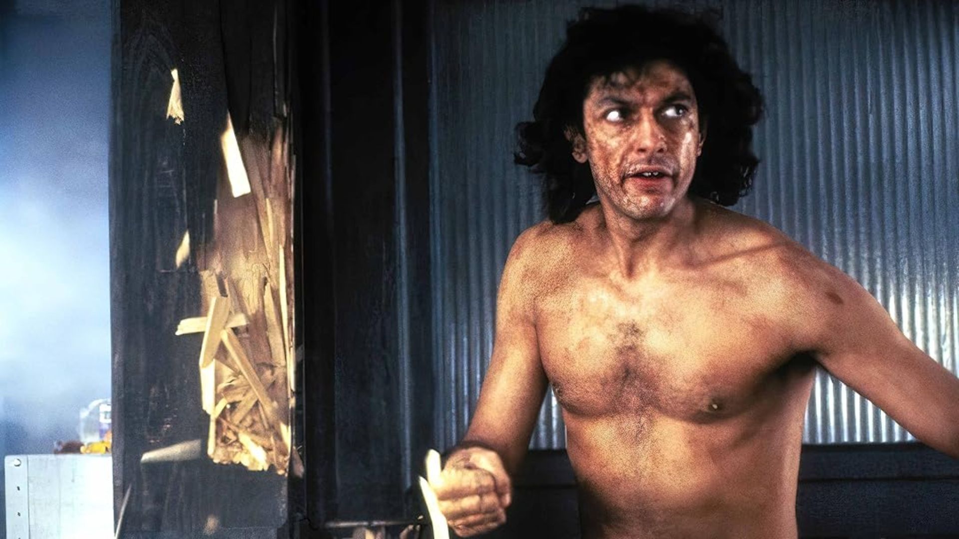 The Fly (Image Source: Prime Video)