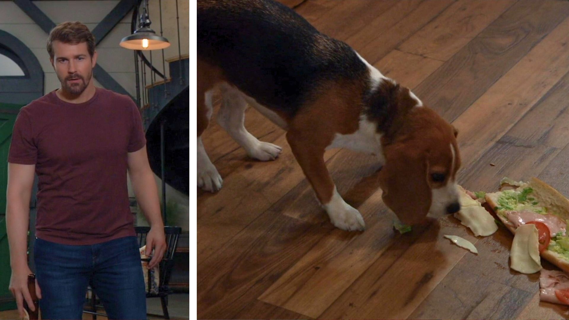 Cody finds Outback eating his sandwich at the Quartermaine stables on General Hospital | Image: ABC