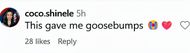 image via @coco.shinele on Instagram)