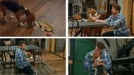 Cody bonds with Outback on General Hospital | Image: ABC