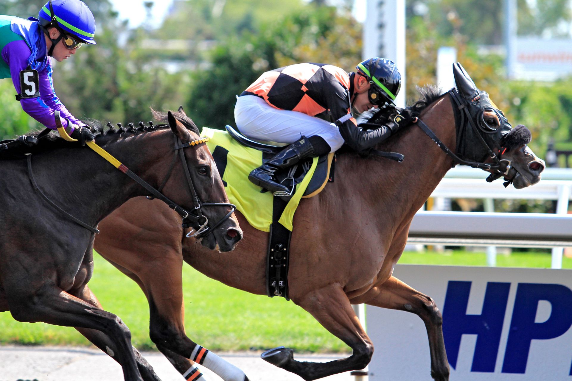 Thoroughbred Horse Racing At Woodbine Racetrack - Source: Getty