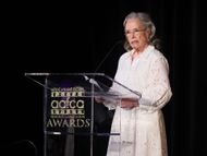 7th Annual AAFCA TV Honors - Source: Getty