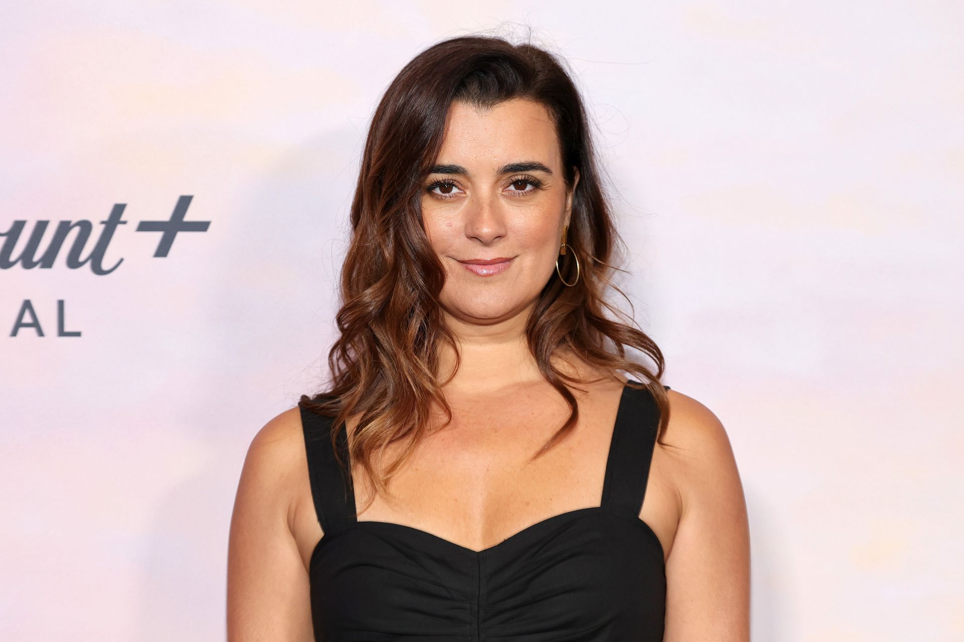 &quot;NCIS: Tony &amp; Ziva&quot; New York Screening - Source: Getty
