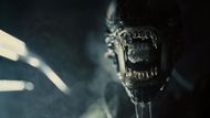Alien: Romulus (Image via Prime Video)