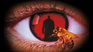 Candyman (Image Source: Prime Video)