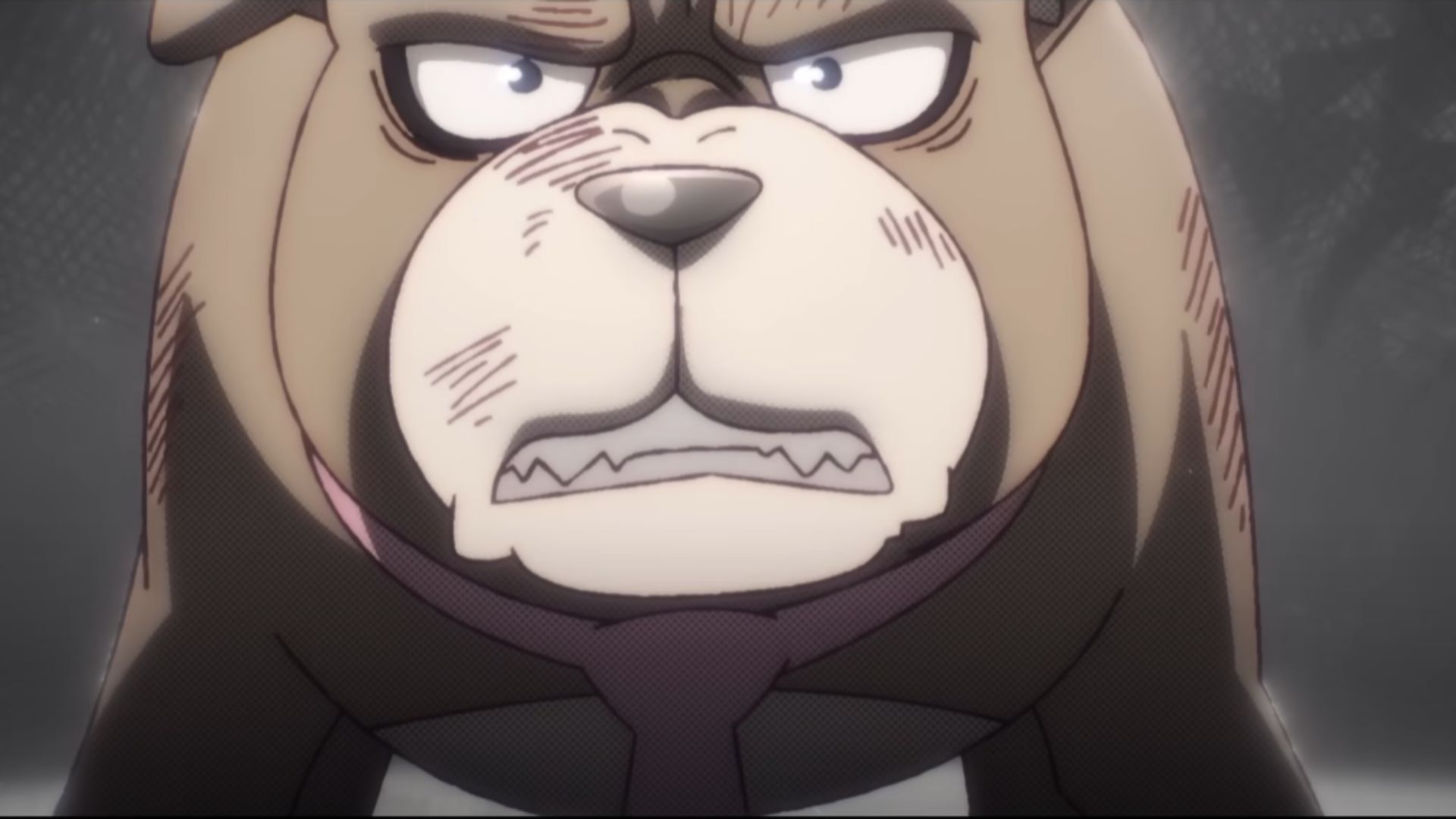Ahu, the Canine Hero (Image Source: BeDream and LAN Studio)