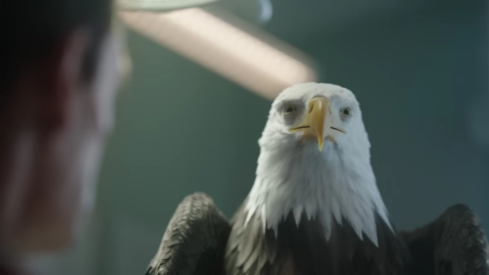 Eagly as seen in Peacemaker Season 1 | Image Via: DC