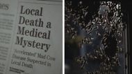 Newspaper clippings and the bugs in 1 x 8 - Bugs (Image via Prime Video)