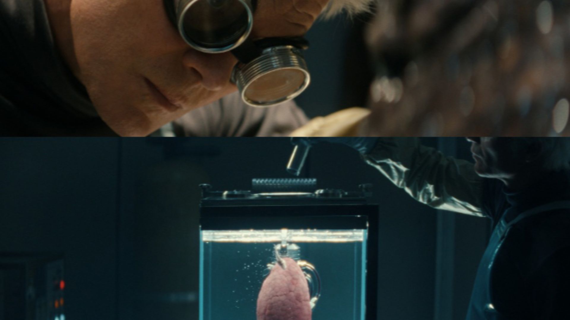 Alien: Earth: All the five Alien species, explained (Image Source - fx)