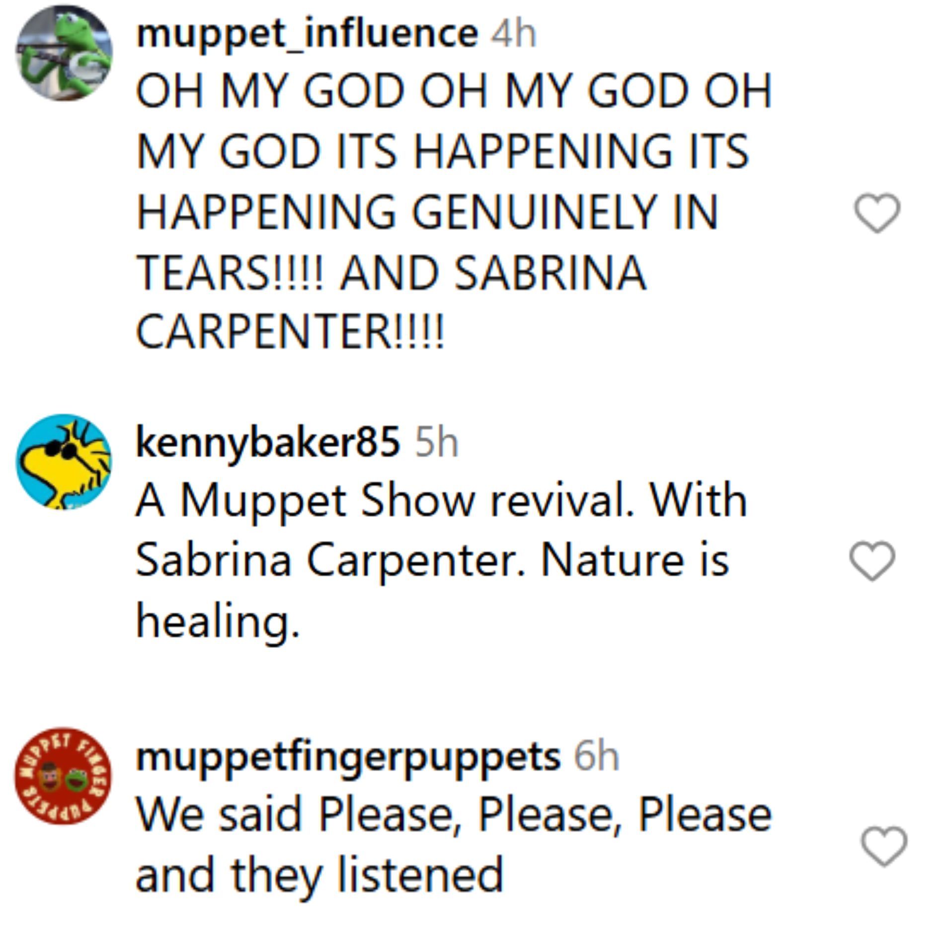 Fans react to the Disney Plus announcement. (Image via Instagram/@disneyplus)
