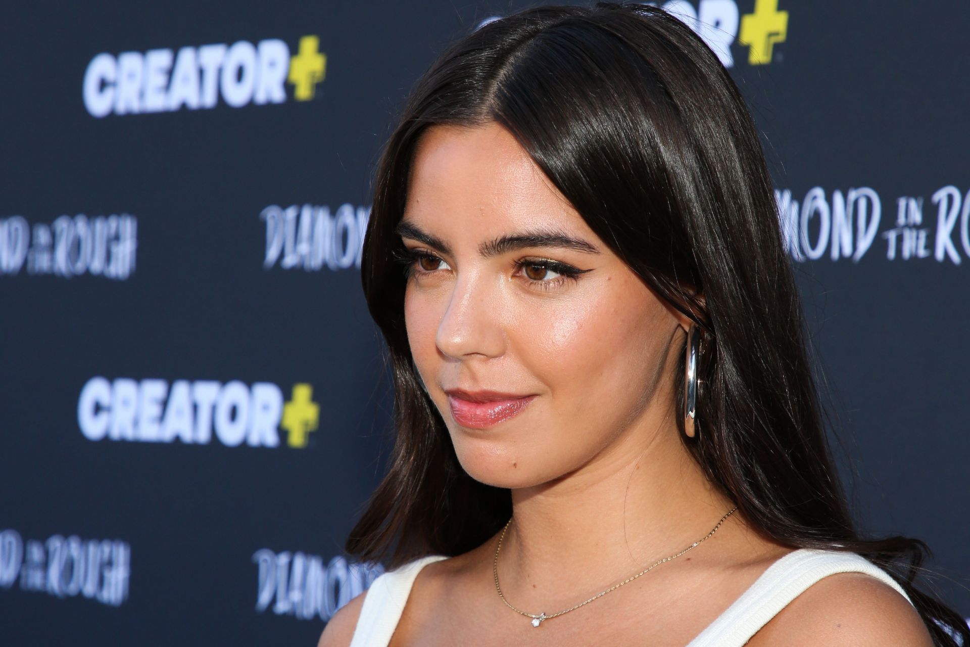 Creator+ Hosts Los Angeles Premiere Of &quot;Diamond In The Rough&quot; - Source: Getty