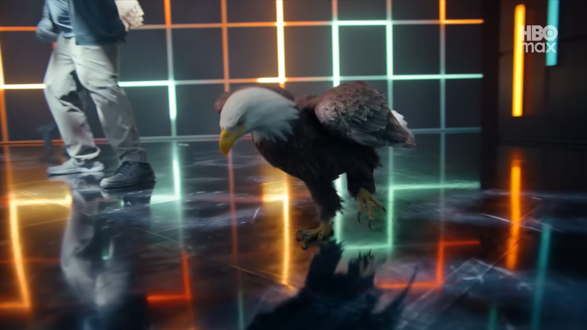 Eagly the bald eagle in the Peacemaker Season 2 intro | Image Via: DC