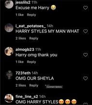 Netizens react to Harry Styles and Carole Radziwill's photos (Image via Instagram/@cassandragrey)