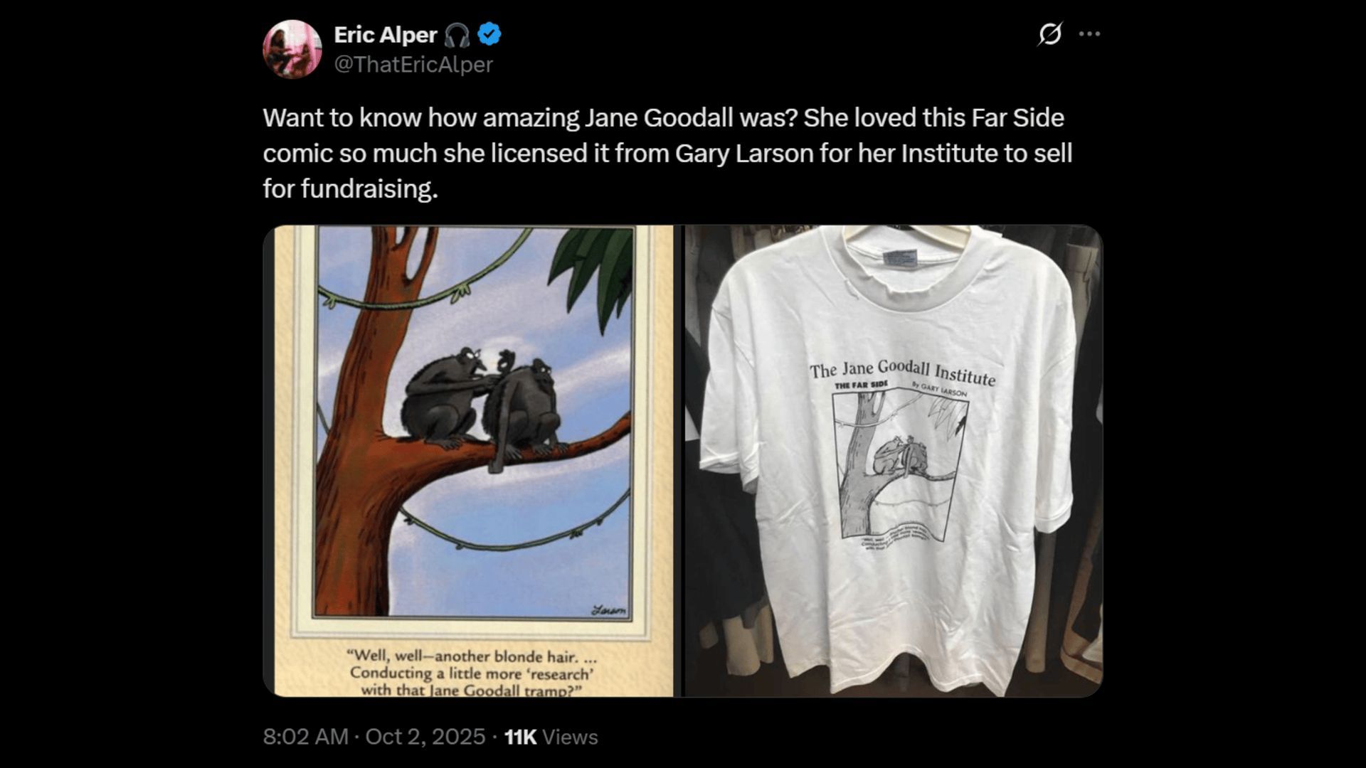 Dr. Goodall used Gary Larson&#039;s comic strip on her institute&#039;s fundraising t-shirts. (Image via X)