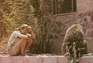 Jane Goodall Studying African Baboon - Source: Getty