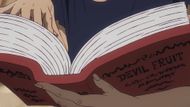 Devil Fruit Encyclopedia as seen in anime (Image credit: Toei Animation)
