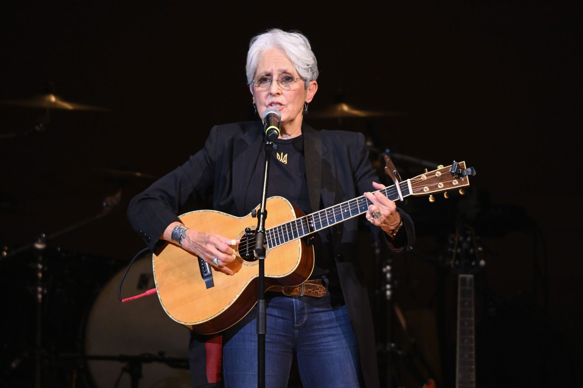 37th Annual Tibet House US Benefit Concert - Source: Getty
