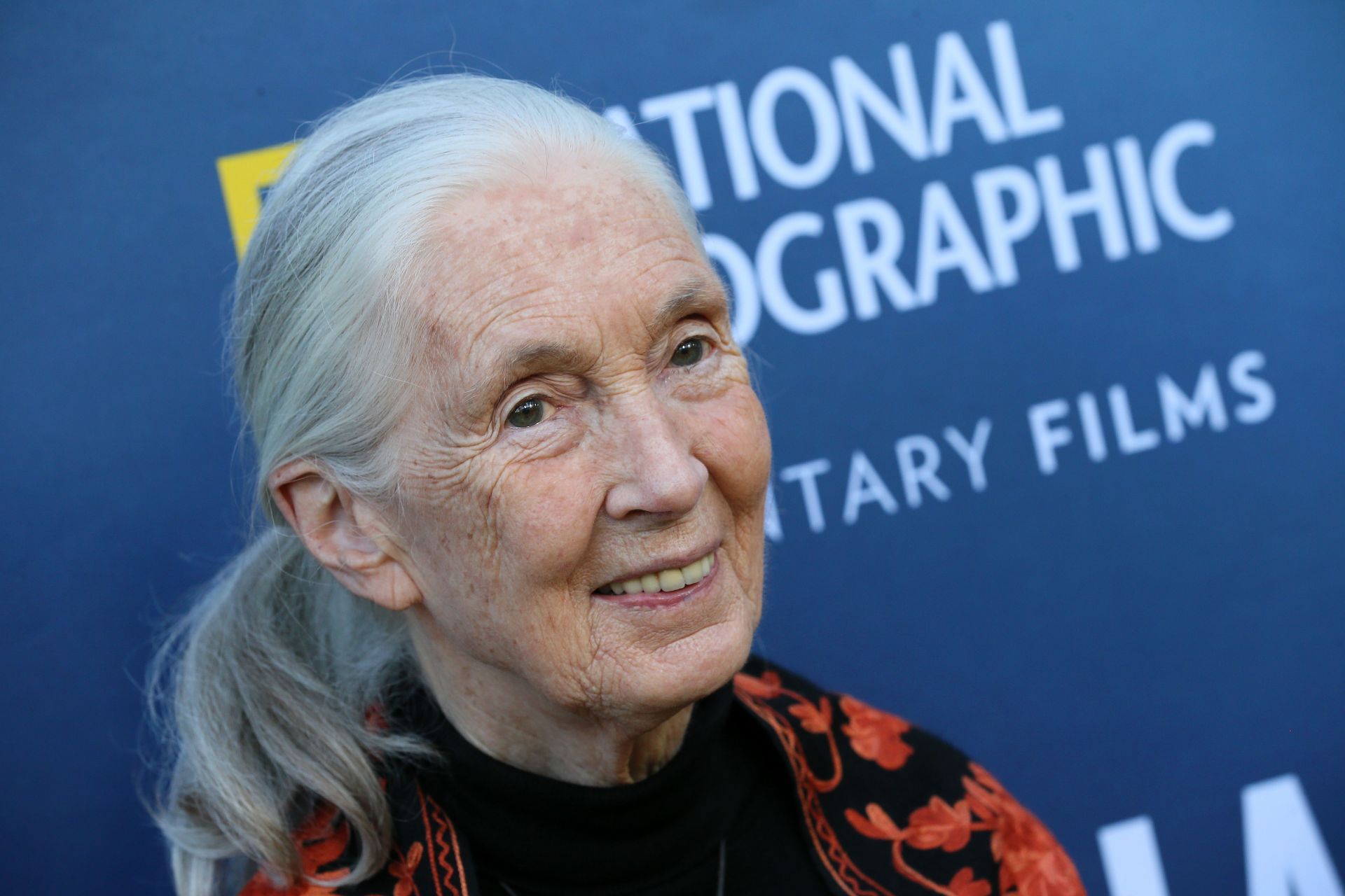 National Geographic Documentary Films